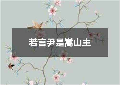 若言尹是嵩山主