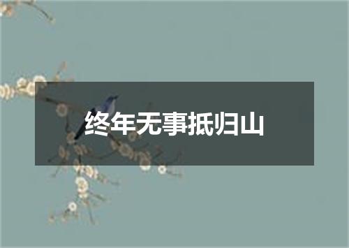 终年无事抵归山