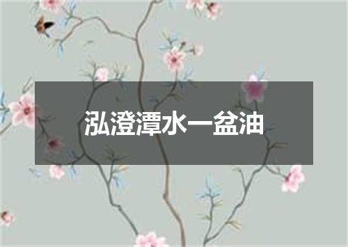 泓澄潭水一盆油