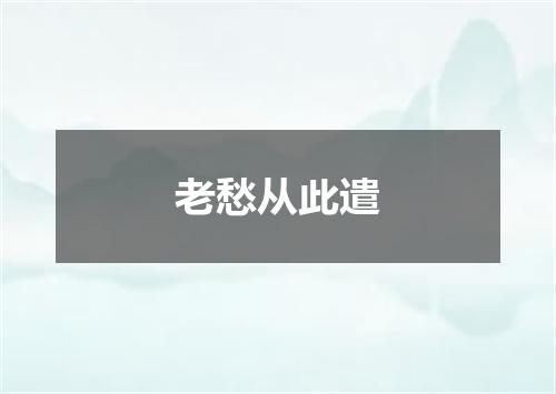 老愁从此遣