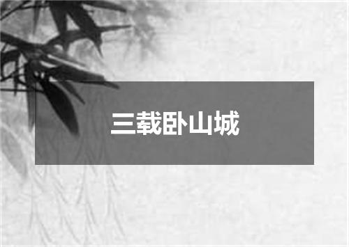 三载卧山城