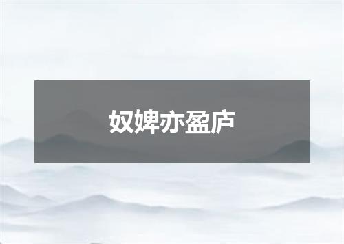 奴婢亦盈庐