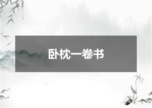 卧枕一卷书
