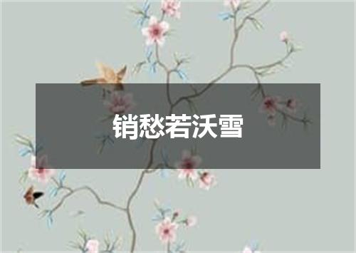 销愁若沃雪