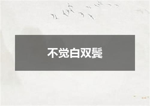 不觉白双鬓