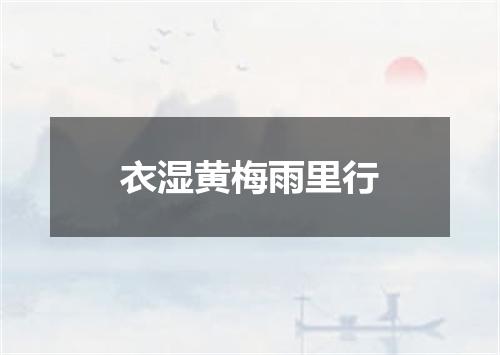 衣湿黄梅雨里行