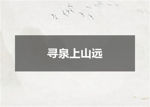 寻泉上山远