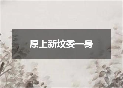 原上新坟委一身