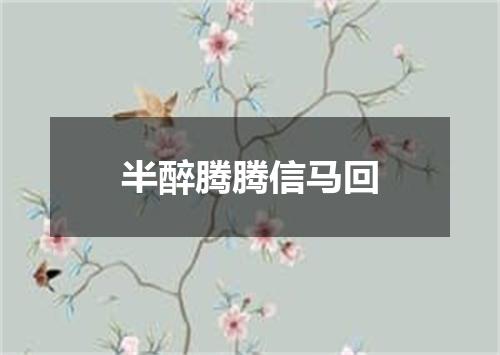 半醉腾腾信马回