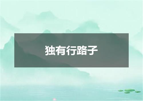 独有行路子