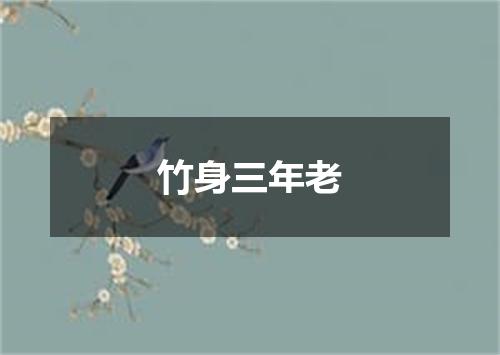 竹身三年老