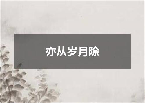 亦从岁月除
