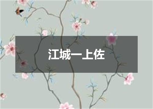 江城一上佐
