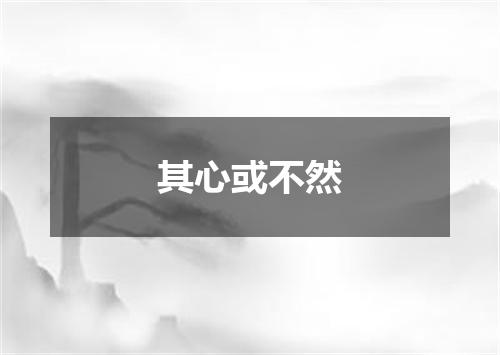 其心或不然