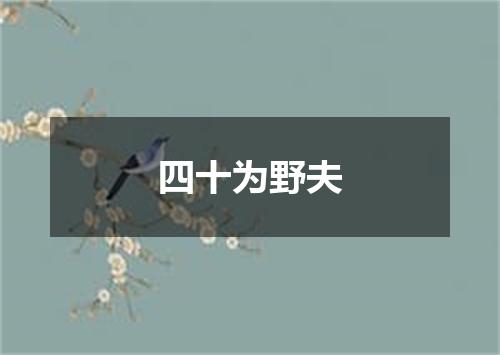四十为野夫