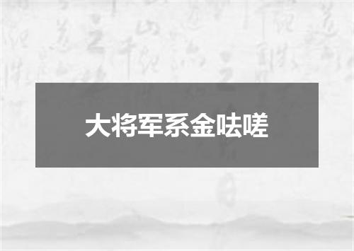 大将军系金呿嗟