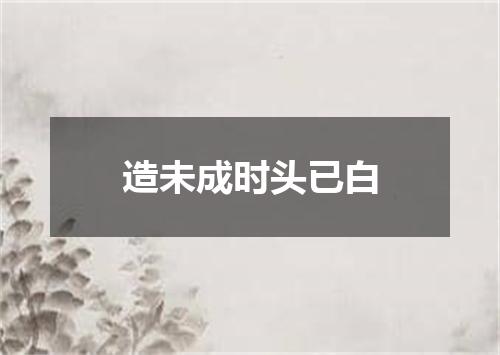 造未成时头已白