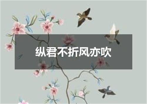 纵君不折风亦吹