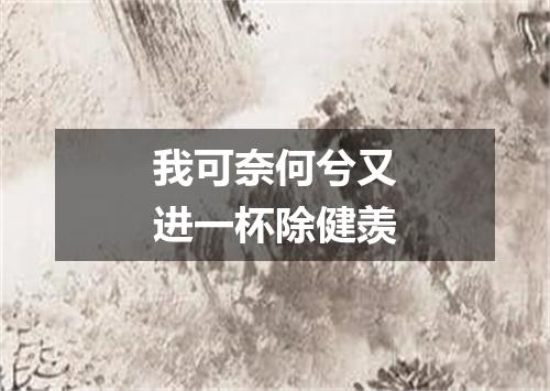 我可奈何兮又进一杯除健羡