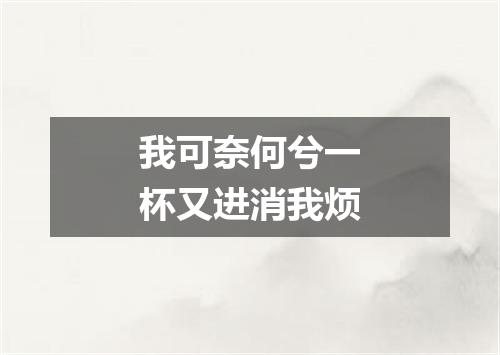 我可奈何兮一杯又进消我烦