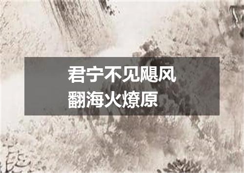 君宁不见飓风翻海火燎原