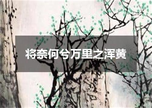 将奈何兮万里之浑黄