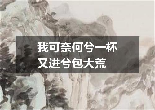 我可奈何兮一杯又进兮包大荒