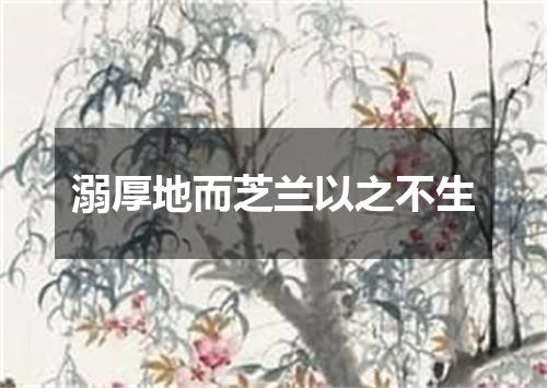 溺厚地而芝兰以之不生