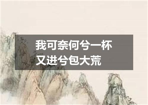 我可奈何兮一杯又进兮包大荒
