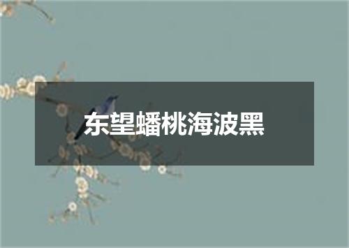 东望蟠桃海波黑