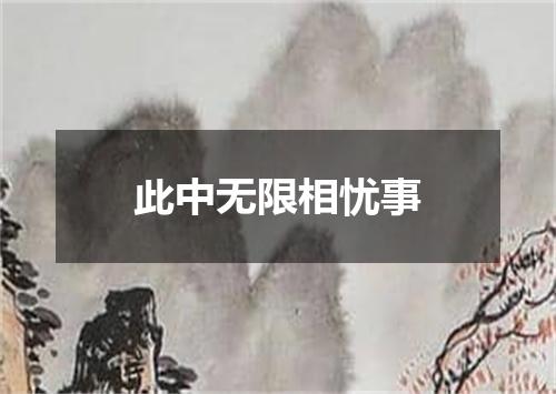 此中无限相忧事