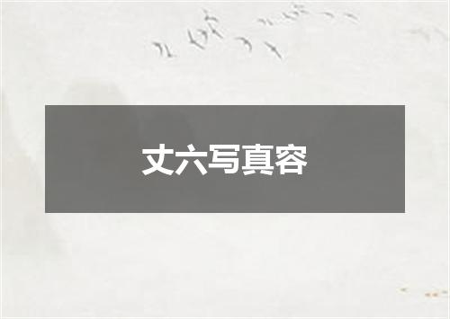 丈六写真容