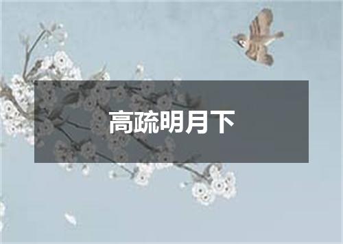 高疏明月下