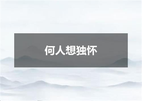 何人想独怀