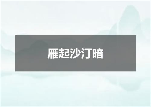 雁起沙汀暗