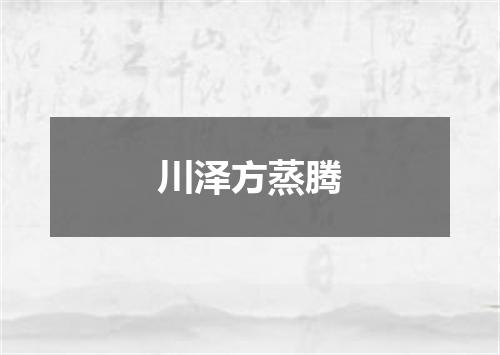 川泽方蒸腾
