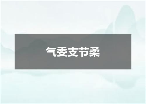 气委支节柔