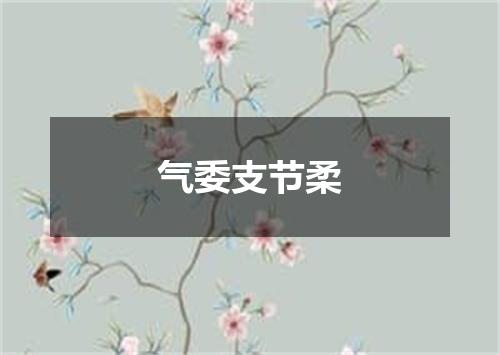 气委支节柔