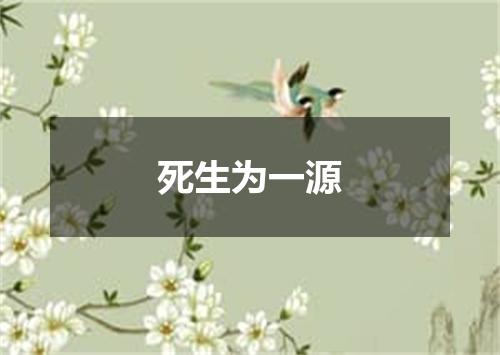 死生为一源
