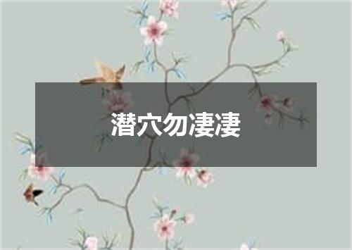 潜穴勿凄凄