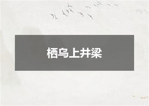 栖乌上井梁