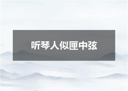 听琴人似匣中弦