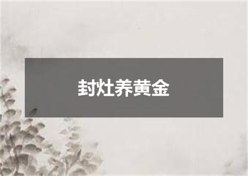 封灶养黄金