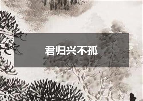 君归兴不孤
