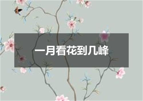 一月看花到几峰