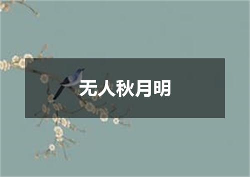 无人秋月明