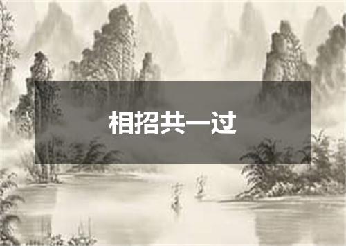 相招共一过