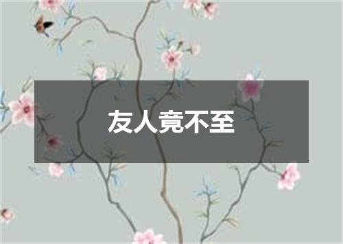 友人竟不至