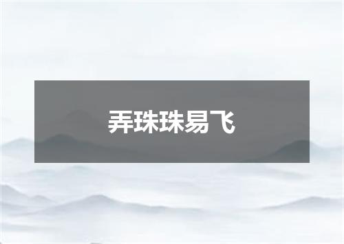 弄珠珠易飞