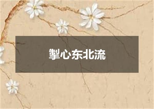 掣心东北流